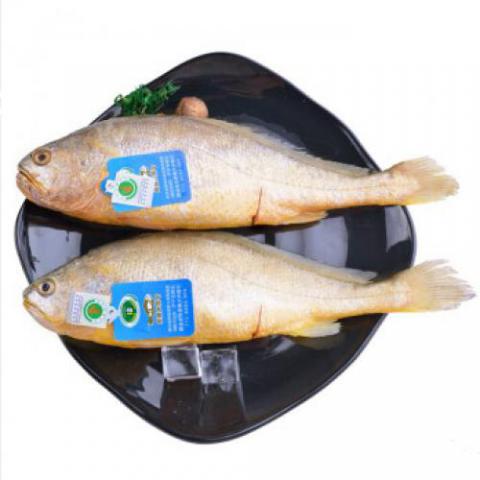 三去深海宁德大黄花鱼700g 2条 生鲜 海鲜水产